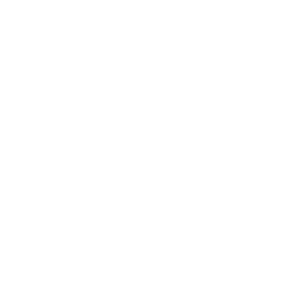 logo capture fleche