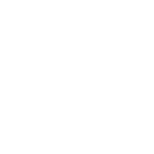logo capture graphique